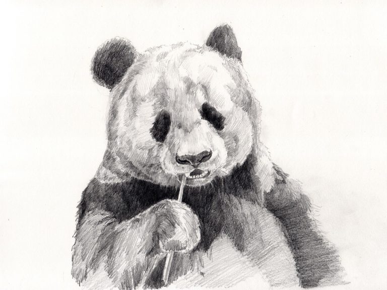 แนวทางวาดภาพขาวดำให้ดูมีมิติ