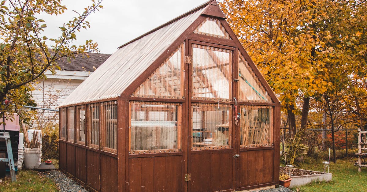 pexels-photo-10012852