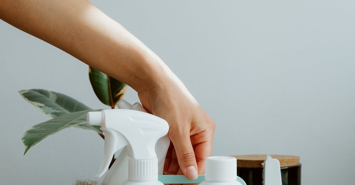 pexels-photo-10557498