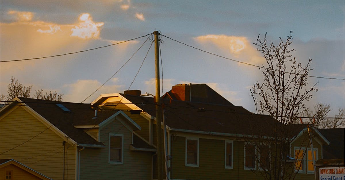 pexels-photo-10843502