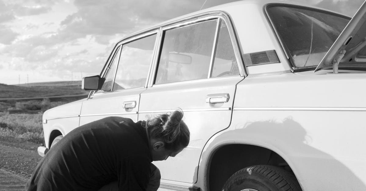 pexels-photo-12478166