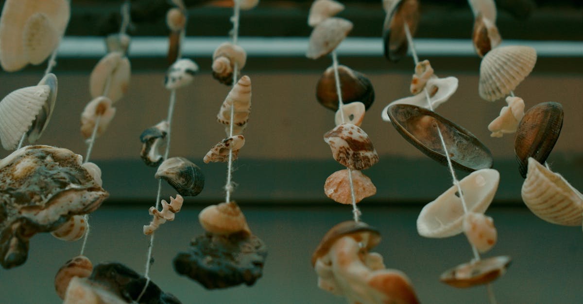 pexels-photo-13035217