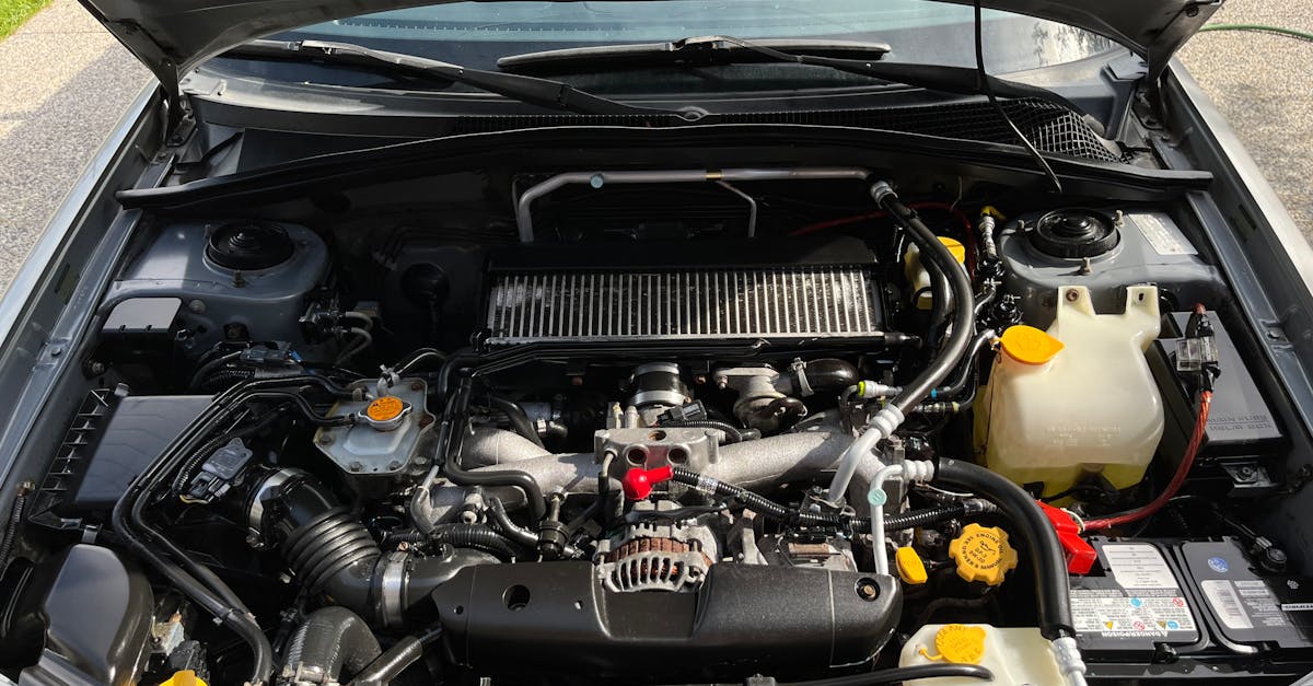 pexels-photo-13177819