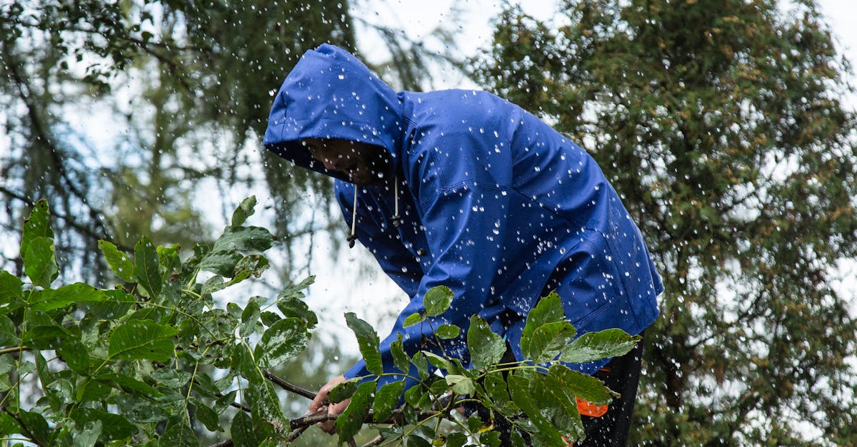 pexels-photo-16442685