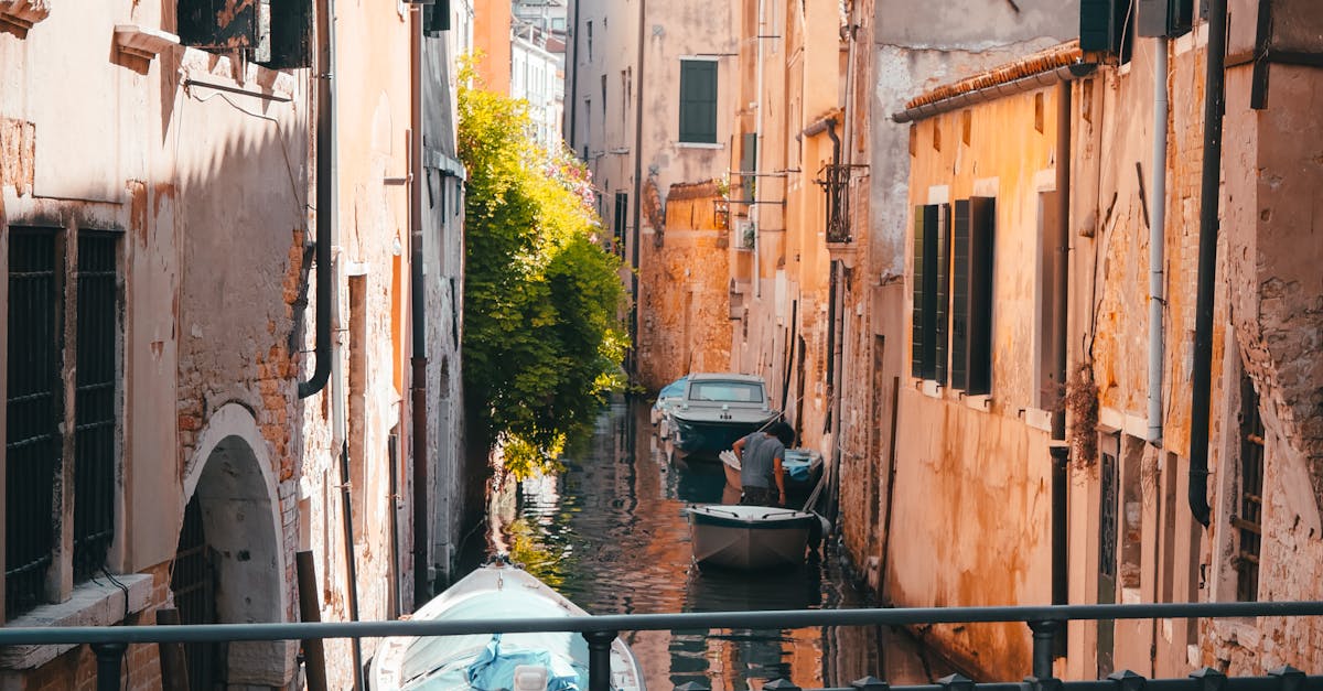 pexels-photo-16558193