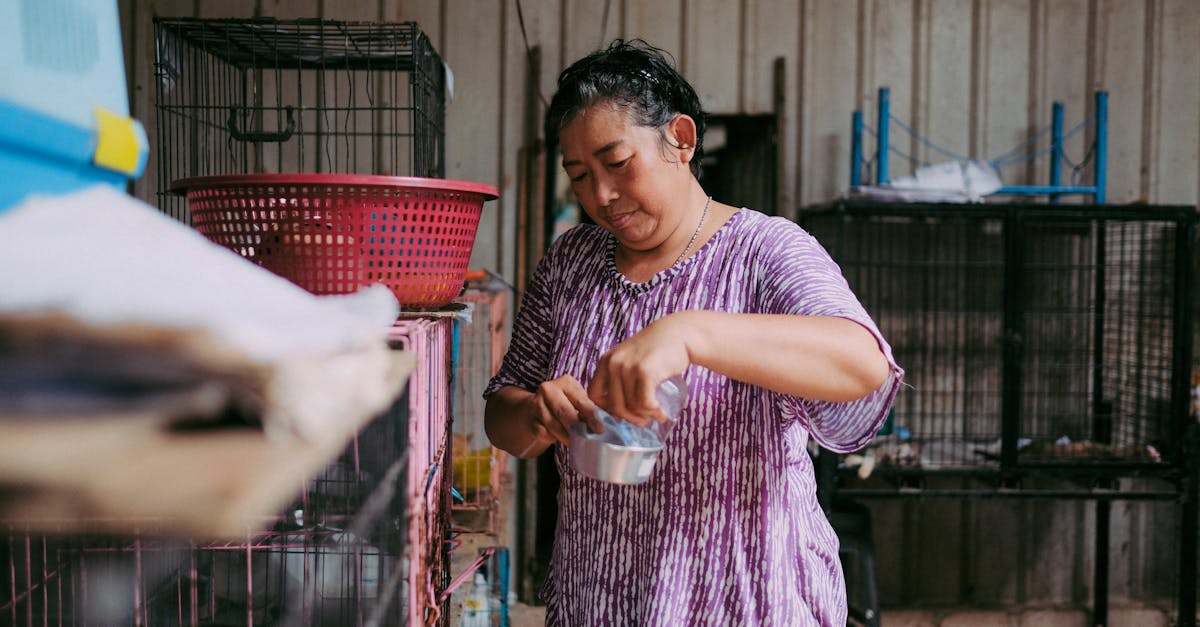 pexels-photo-17053003