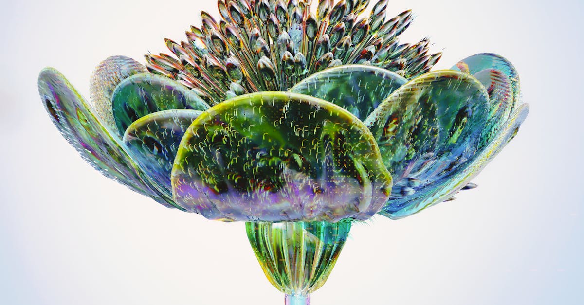 pexels-photo-17485679