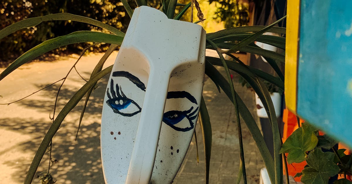 pexels-photo-18505246