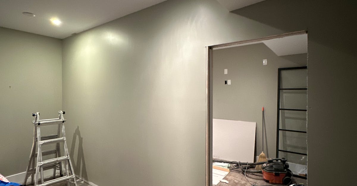 pexels-photo-19503382