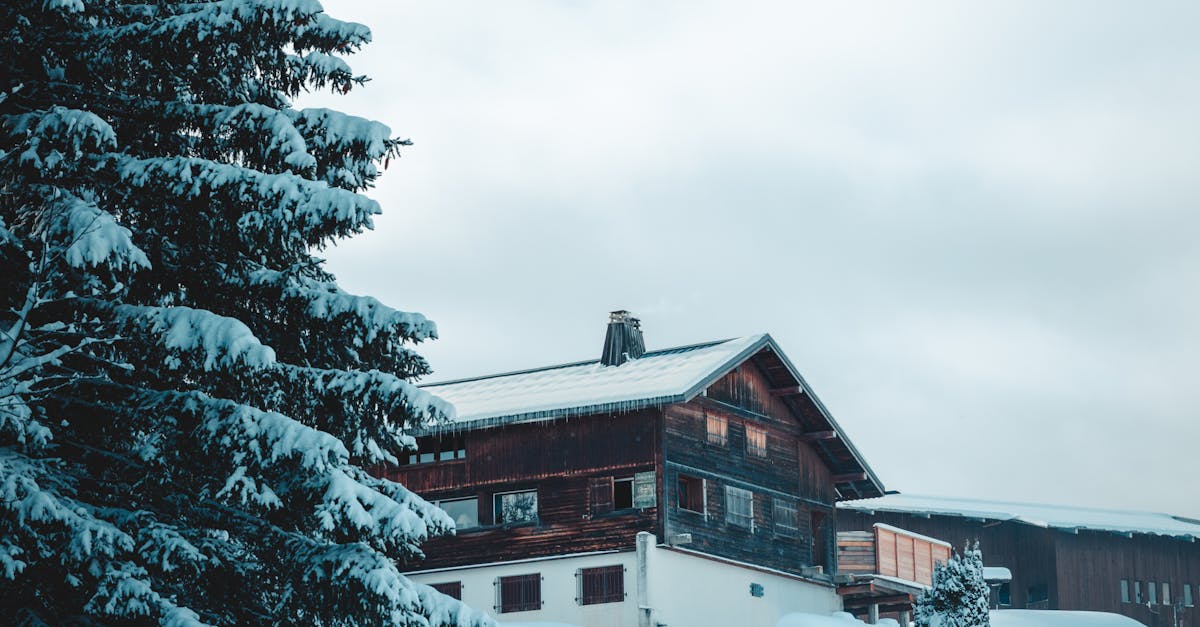 pexels-photo-19727180