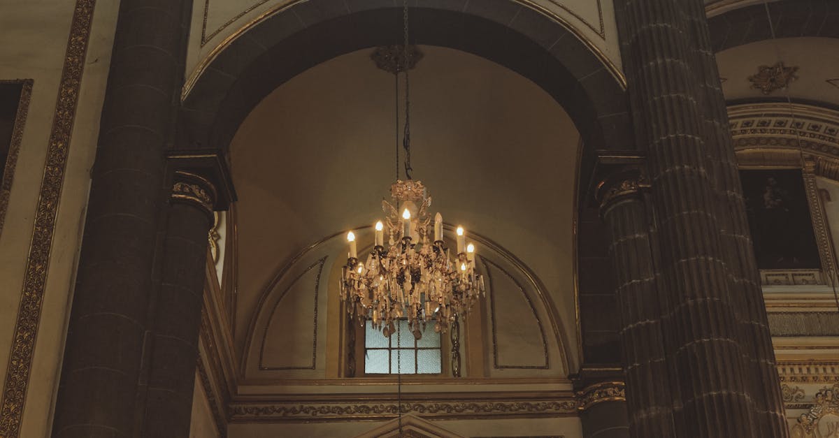 pexels-photo-19751360