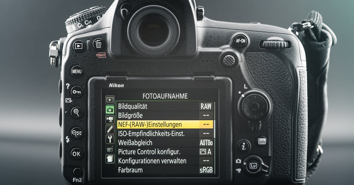 pexels-photo-19804400