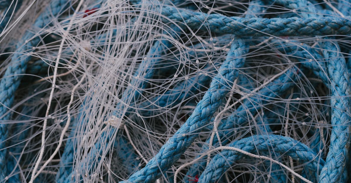 pexels-photo-20106961