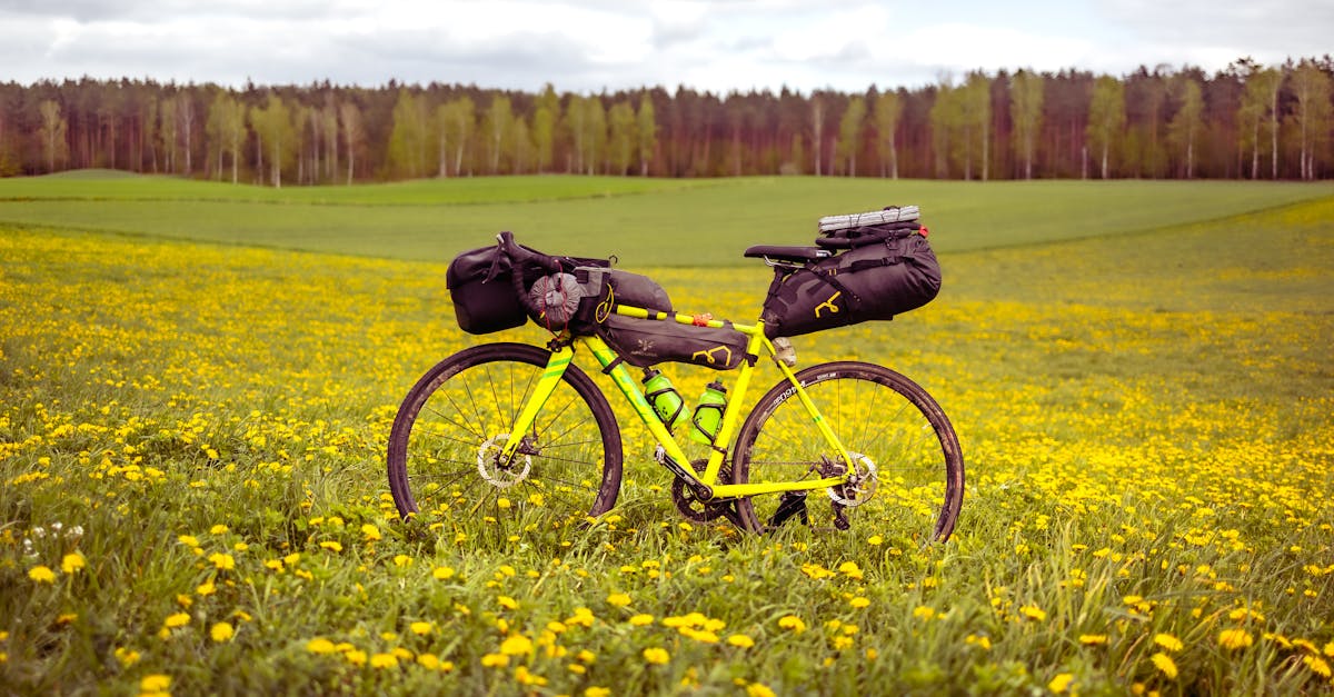 pexels-photo-20270995