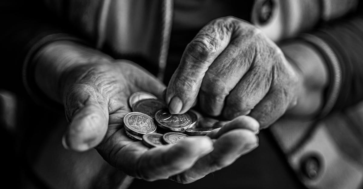 pexels-photo-20407406