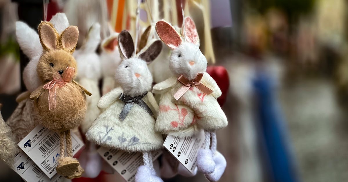 pexels-photo-22589479