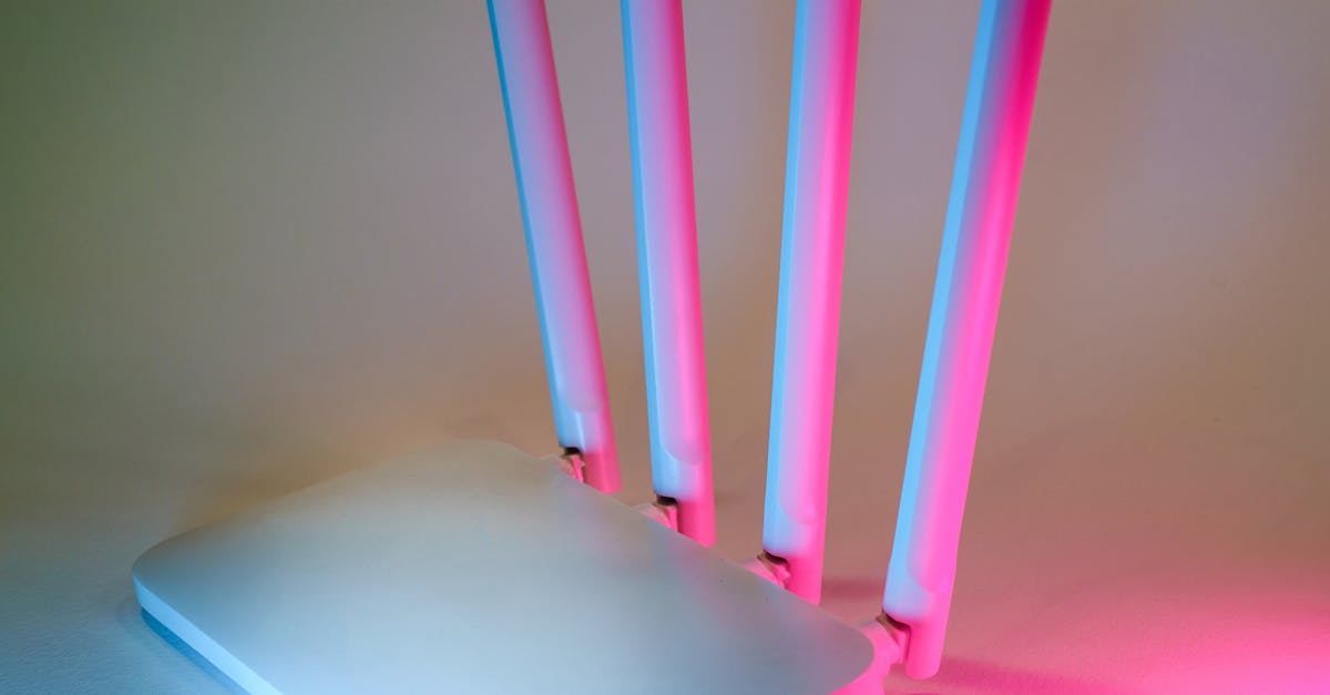 pexels-photo-28348054