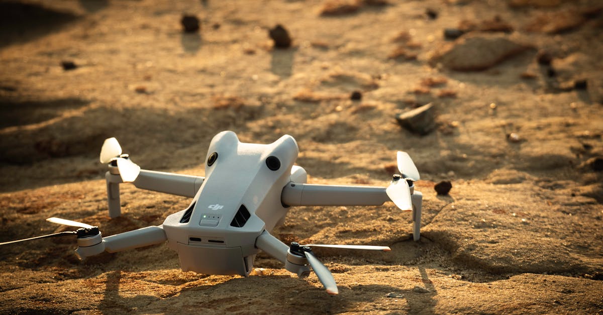 pexels-photo-28460498