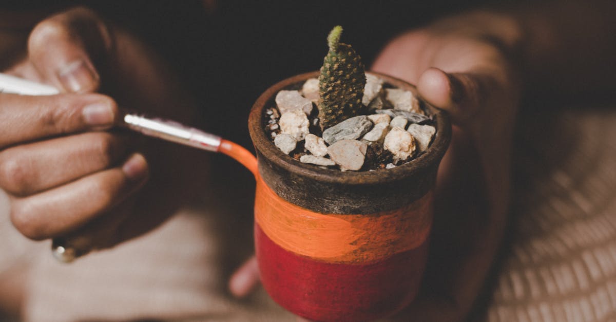 pexels-photo-2870812