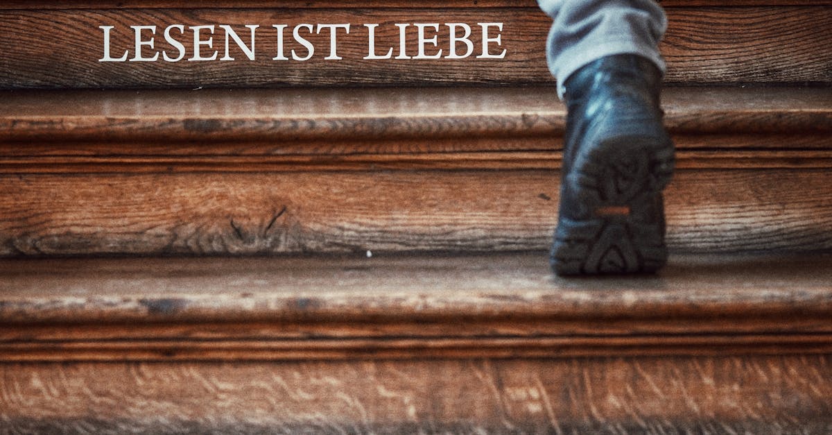 pexels-photo-29588081