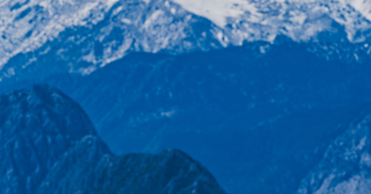 pexels-photo-31368358