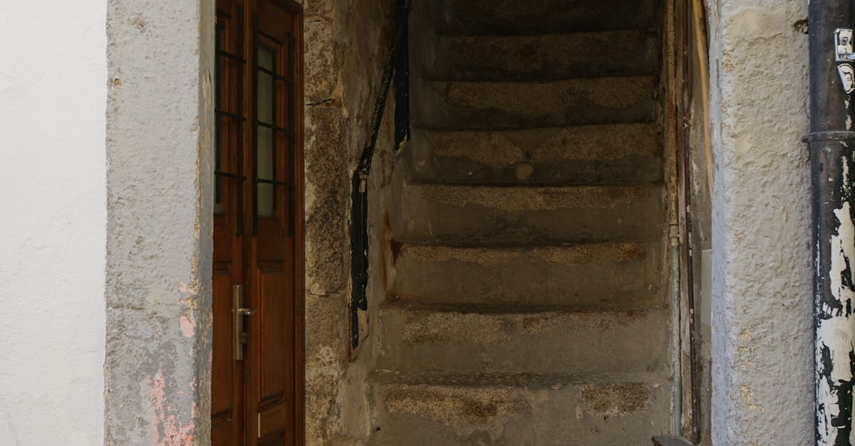 pexels-photo-32204280