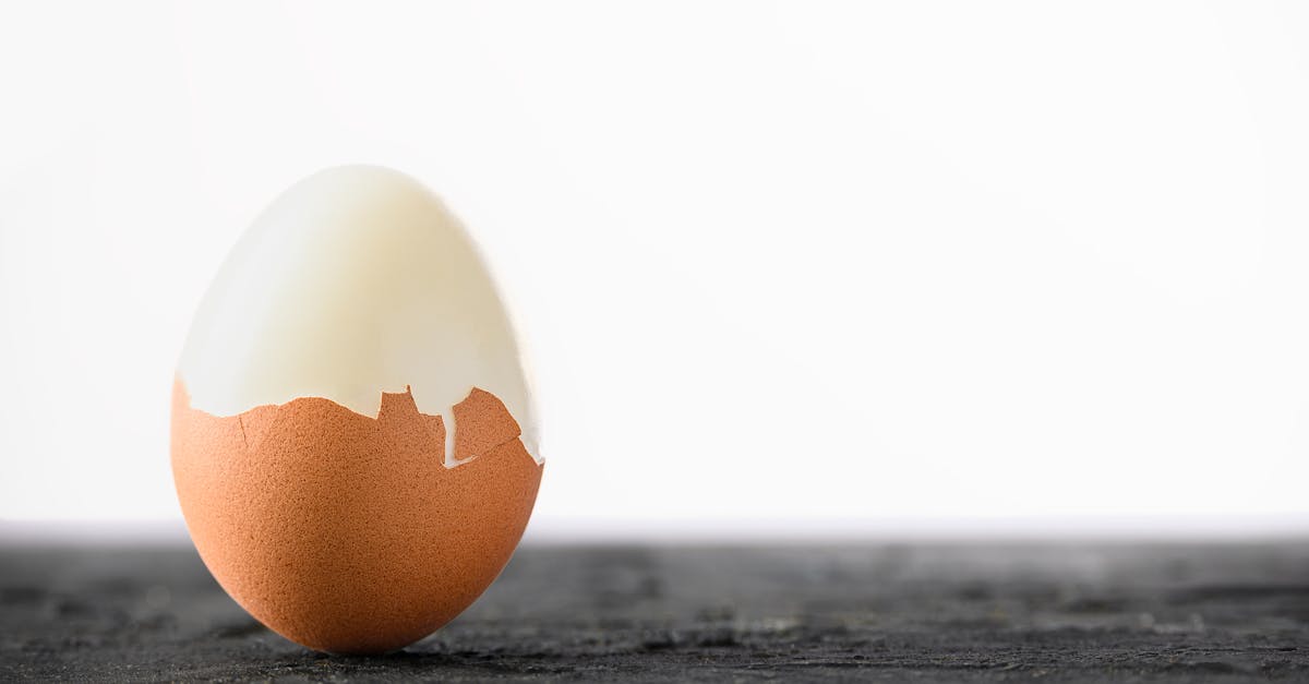 pexels-photo-32240875