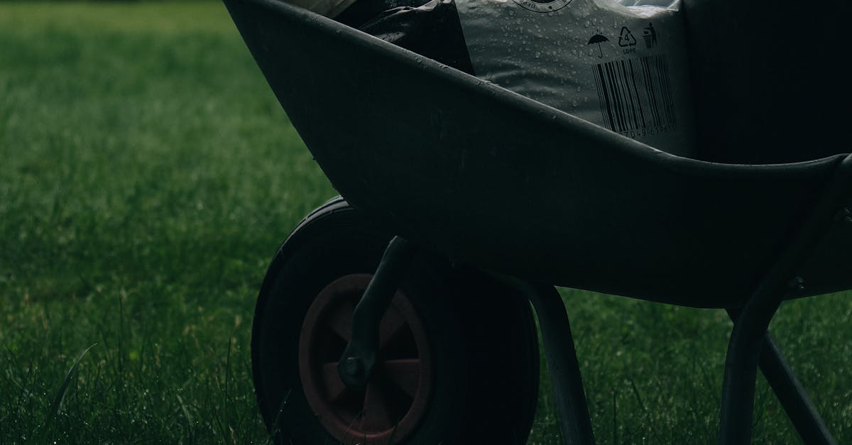 pexels-photo-32254874