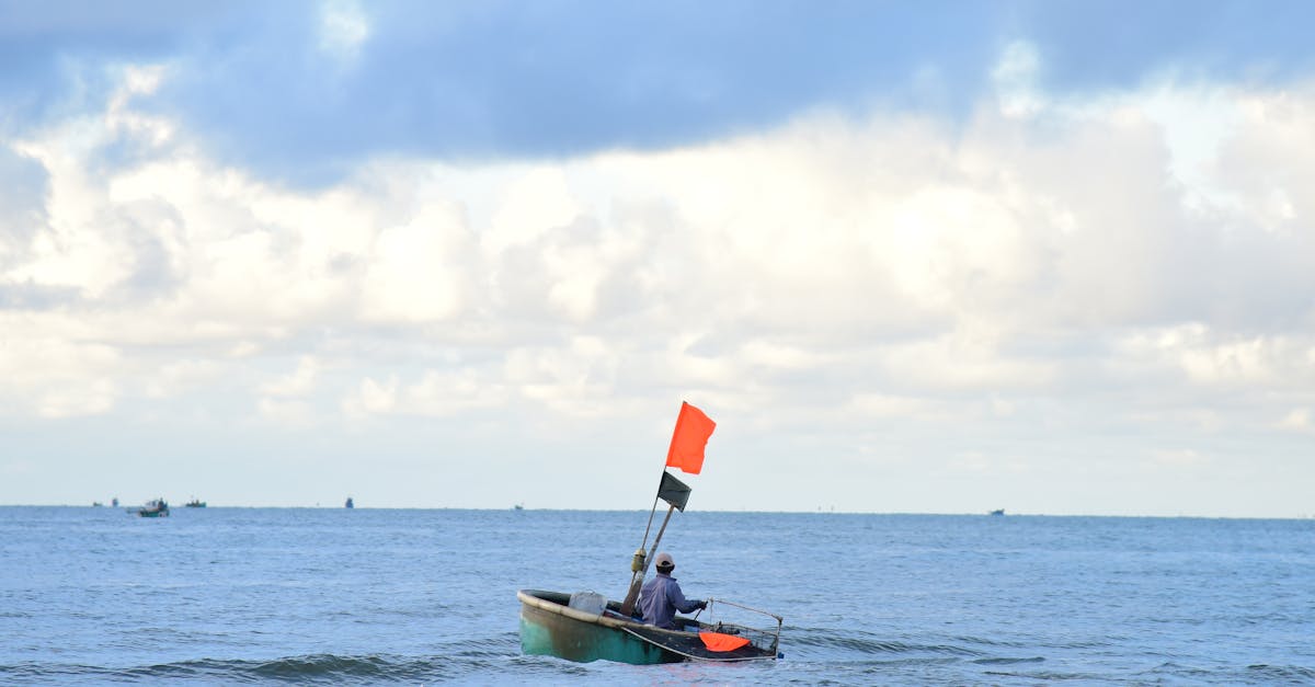 pexels-photo-32259068