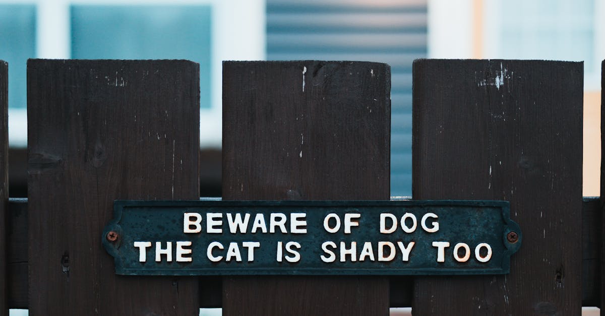 pexels-photo-32269919