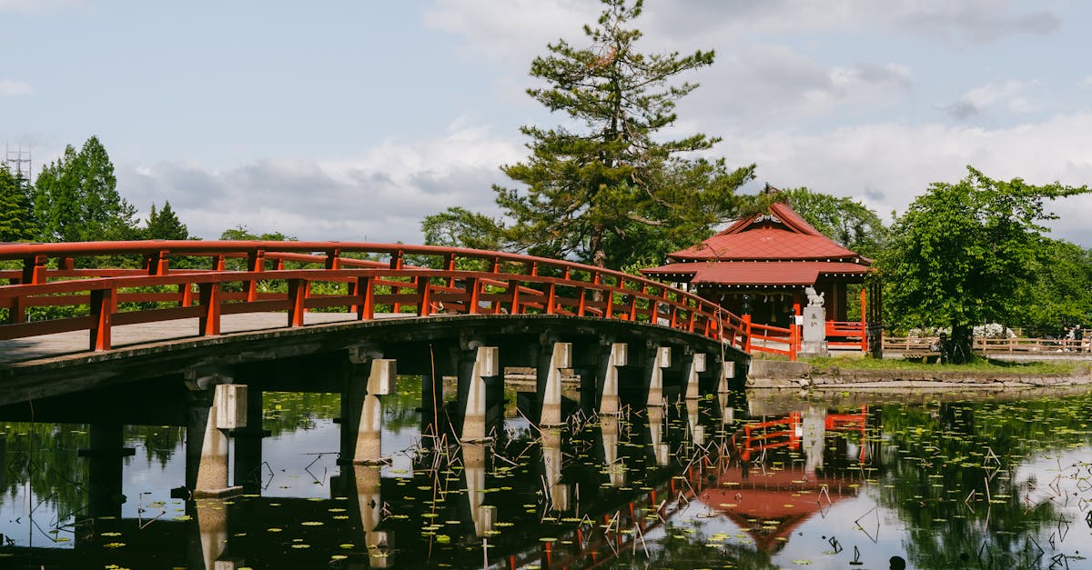 pexels-photo-32273872