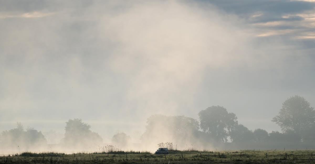 pexels-photo-32275604