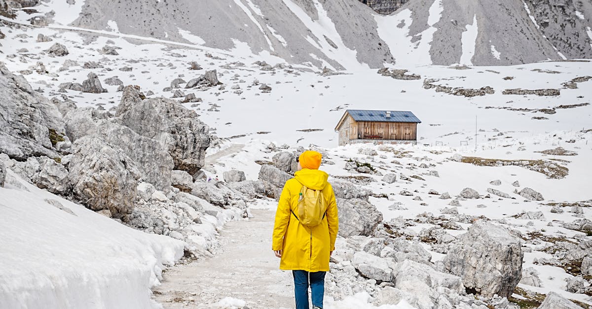 pexels-photo-32279189