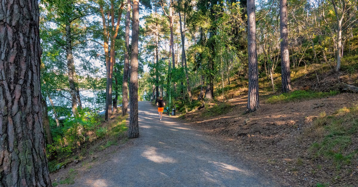 pexels-photo-32282253