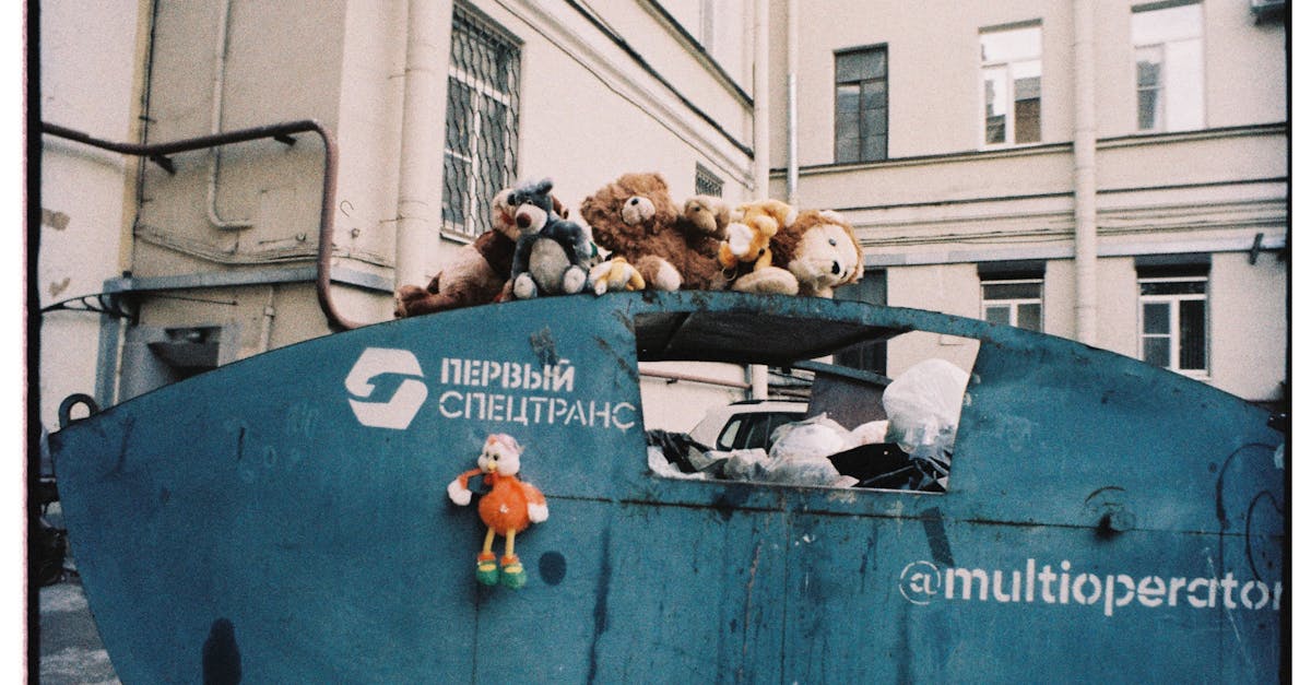 pexels-photo-32300769