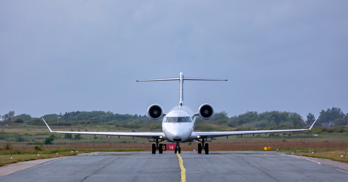 pexels-photo-32304349