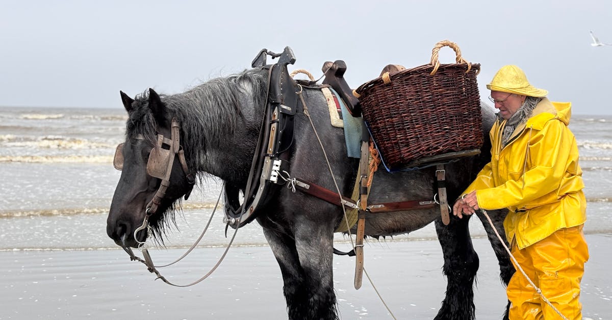 pexels-photo-32315260