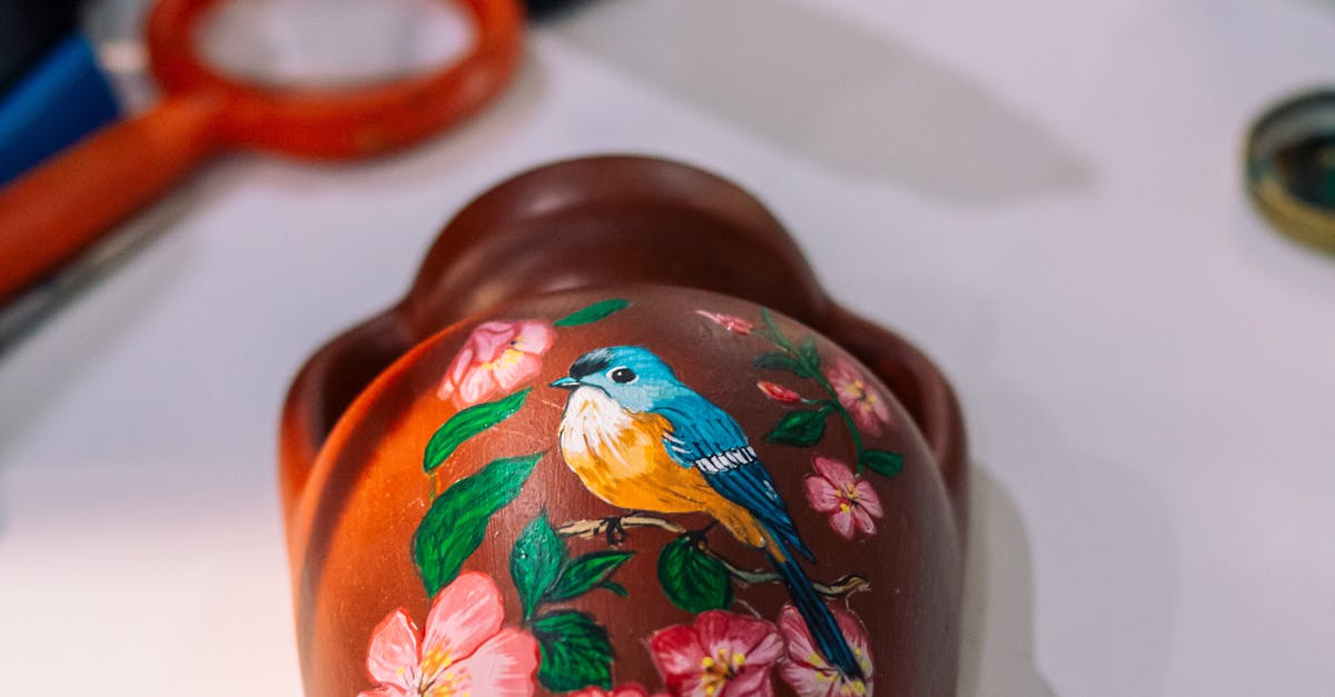 pexels-photo-32318686