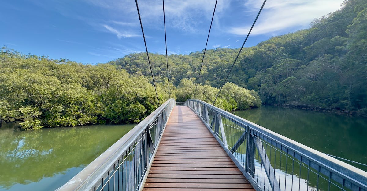 pexels-photo-32321132