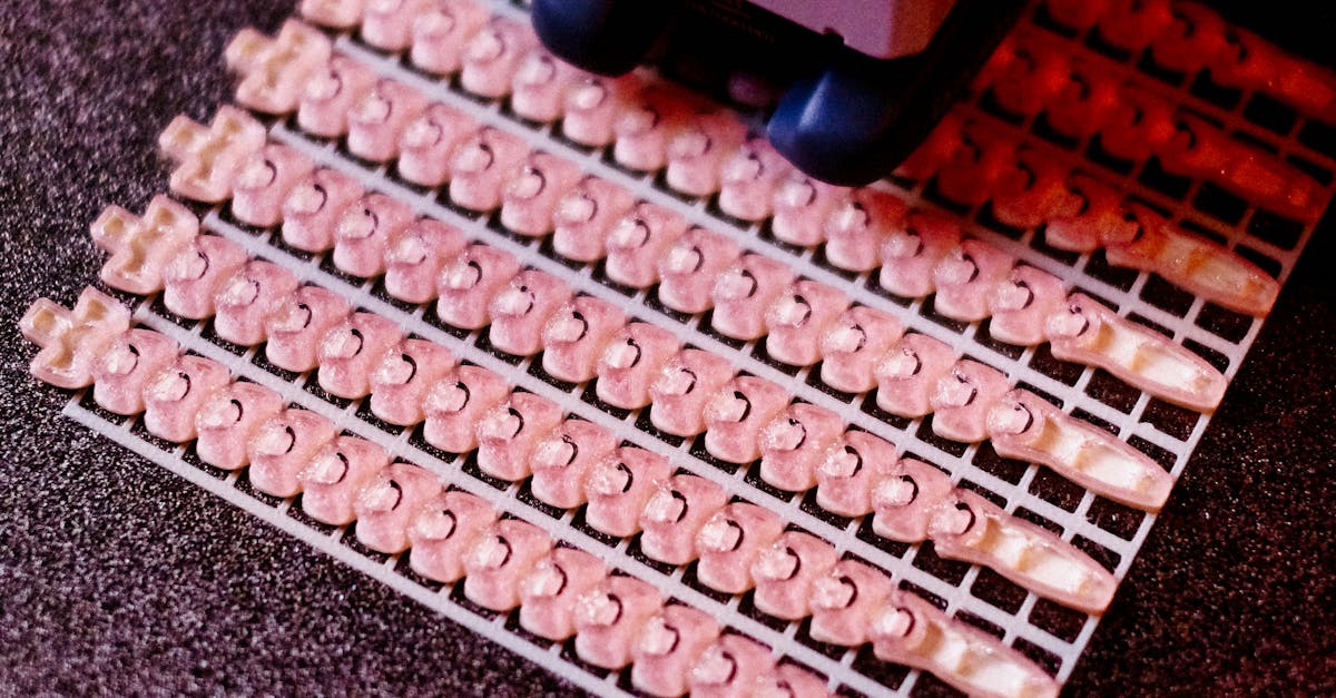 pexels-photo-32324486