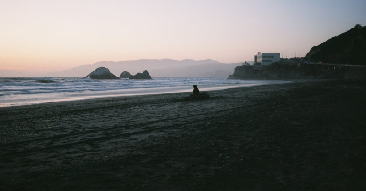 pexels-photo-32324985