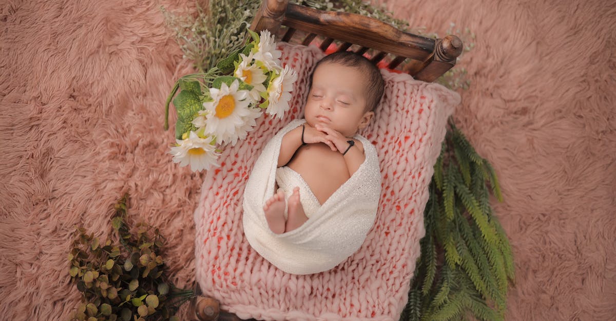 pexels-photo-32327822