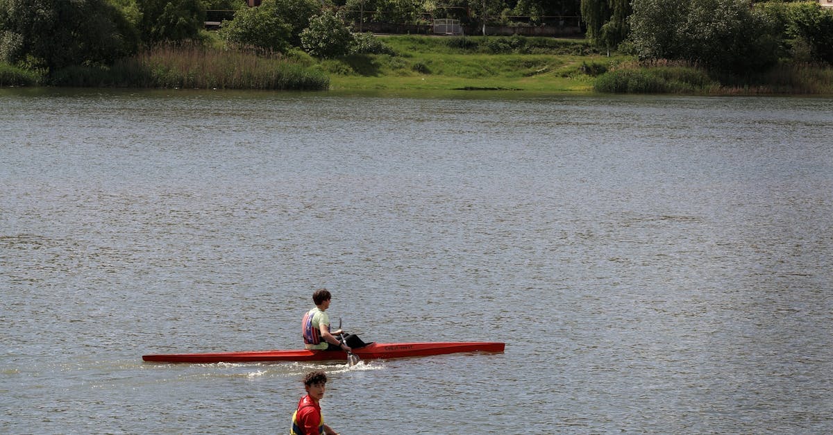 pexels-photo-32329789