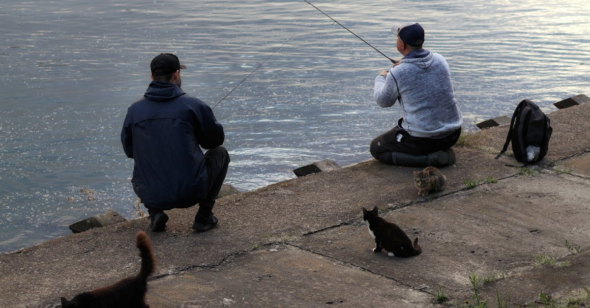 pexels-photo-32329791