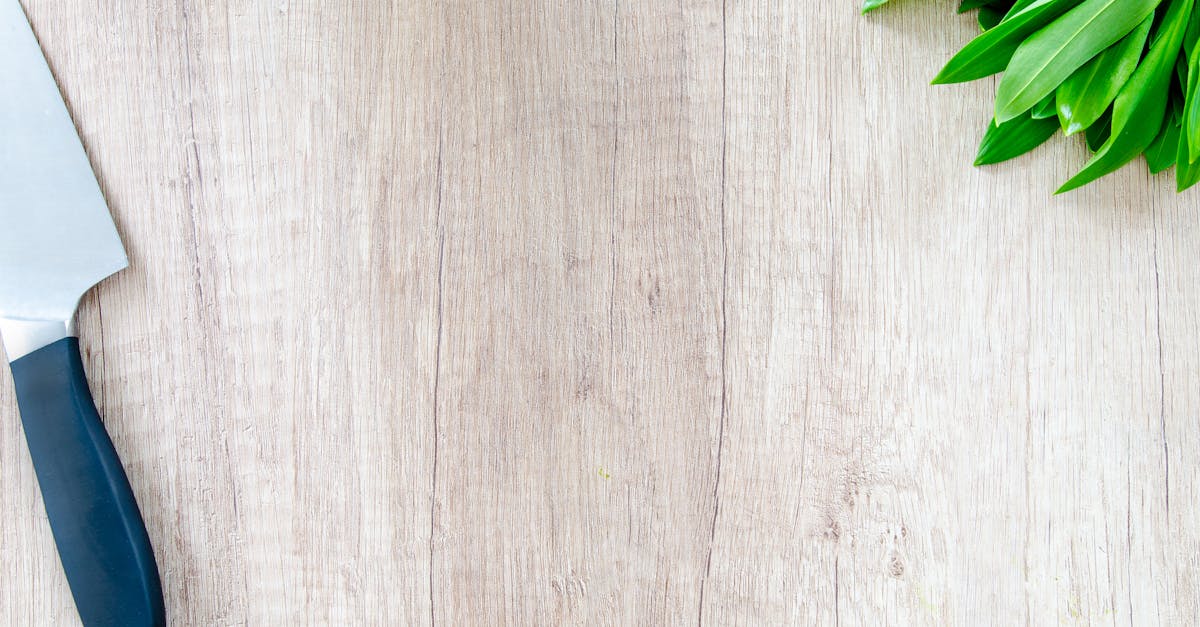 pexels-photo-349609
