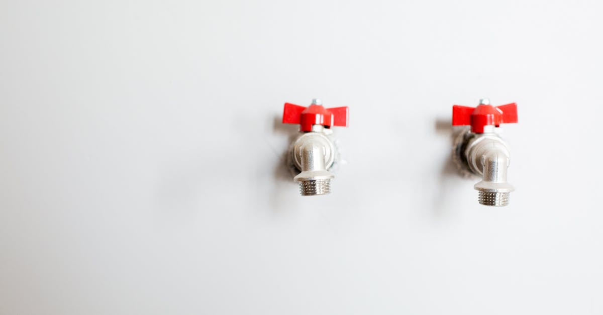 pexels-photo-3616761-1