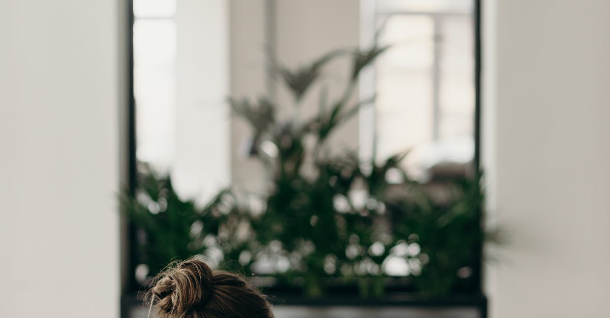 pexels-photo-4065624