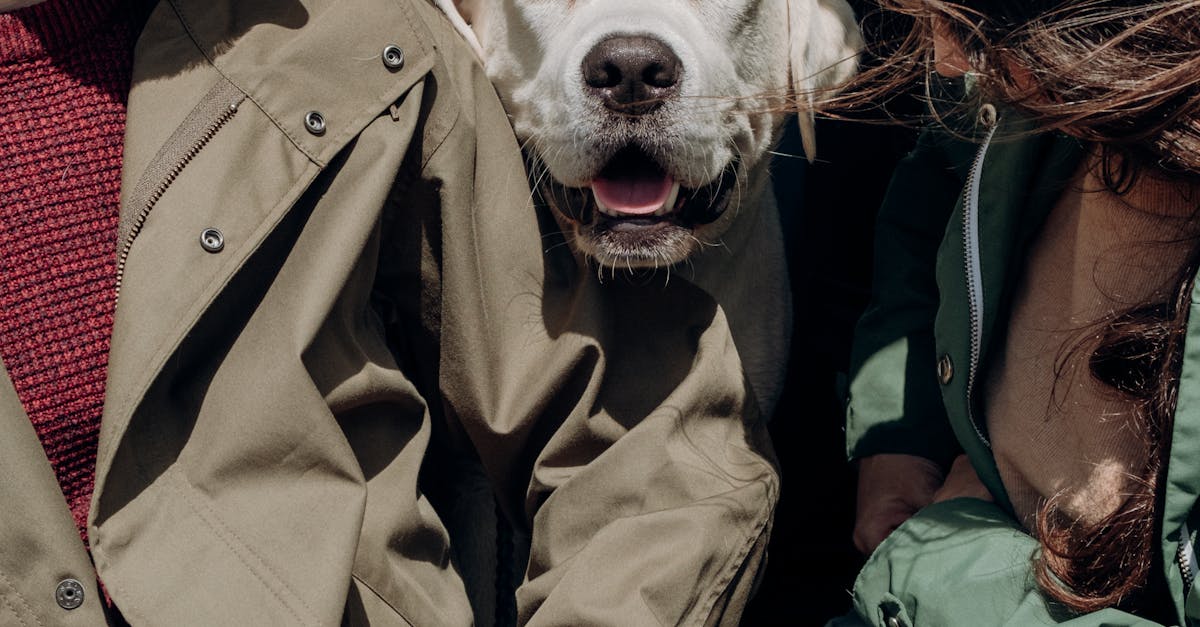 pexels-photo-5079219