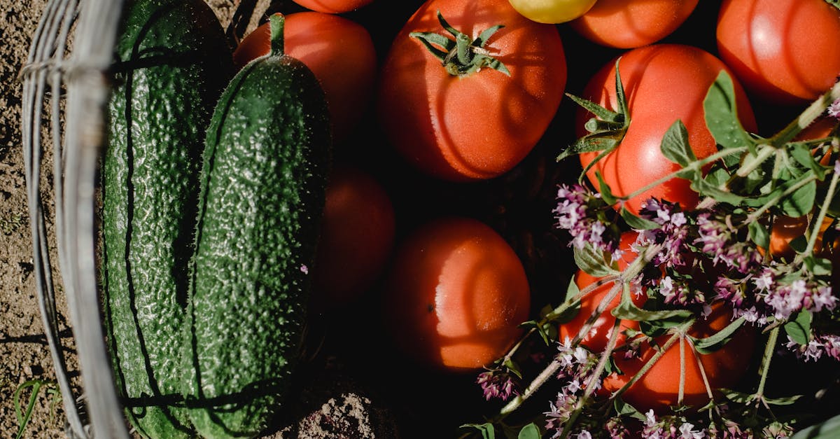 pexels-photo-5502853