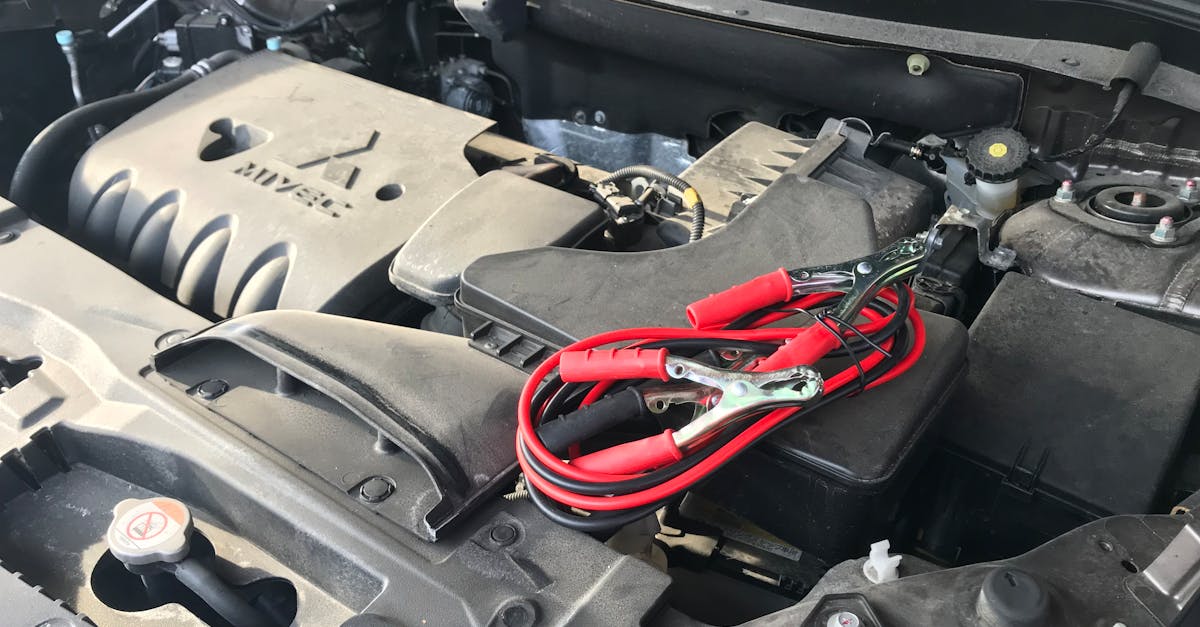 pexels-photo-5562431